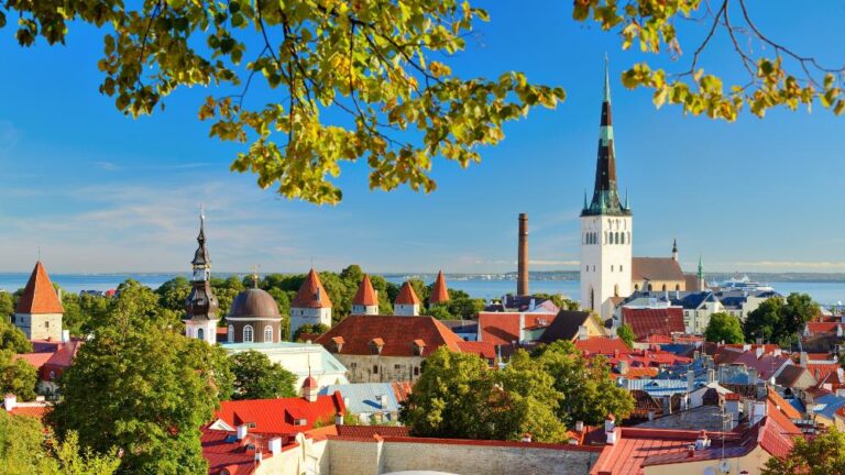 2024 Tallinn NOPHO   Tallinn Estonia 768x432 